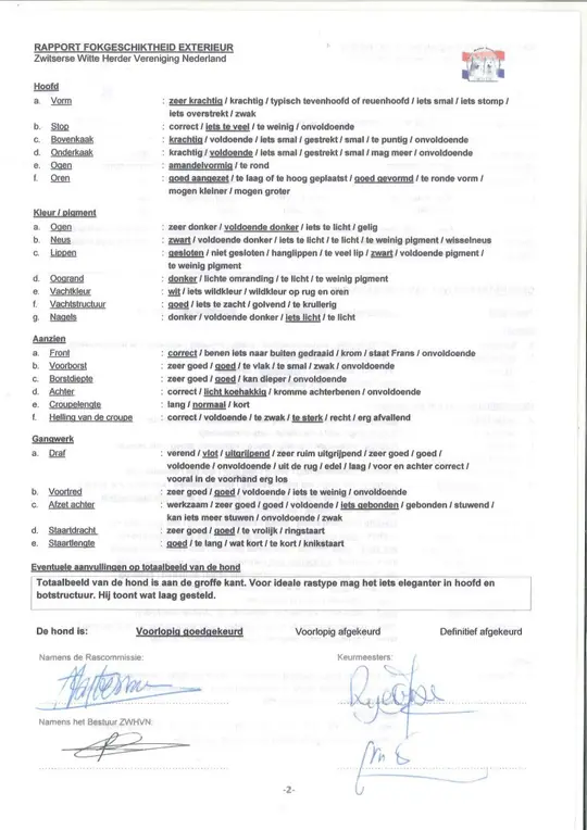 Exterieur rapport achterkant