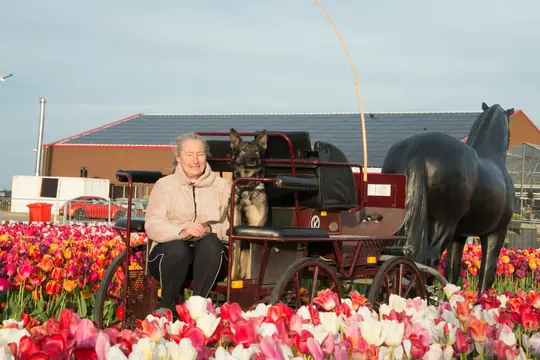 Echo bij The Tulip Barn