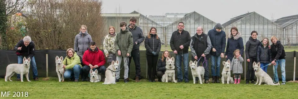 Zwitserse witte herders van Misthy's Friends - foto 10